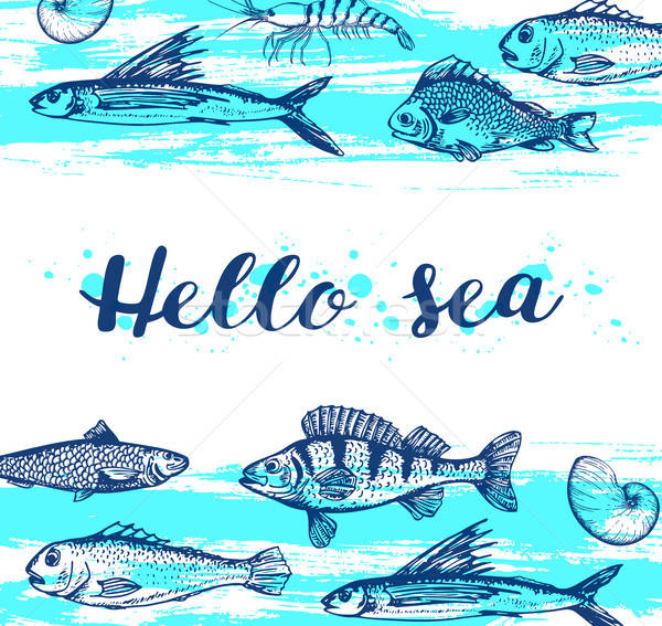 [[stock_photo]]: Bleu · marines · vecteur · vintage · crevettes · poissons