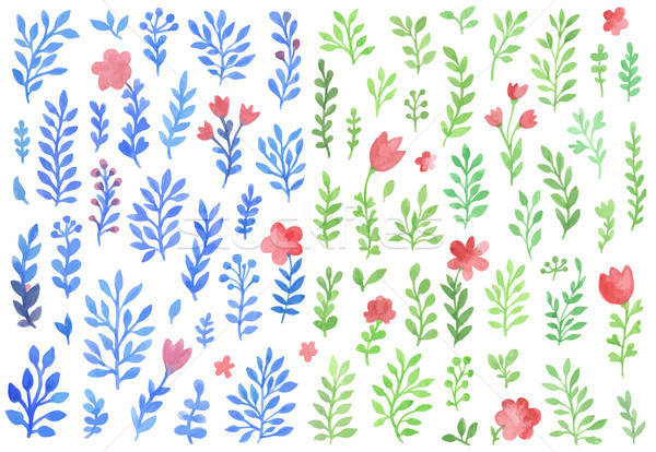 Set of vector watercolor florals Stock photo © Artspace