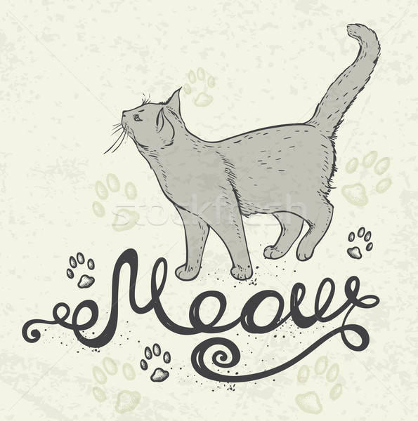 猫 ニャー 手描き 自然 カード 文字 ストックフォト © Artspace