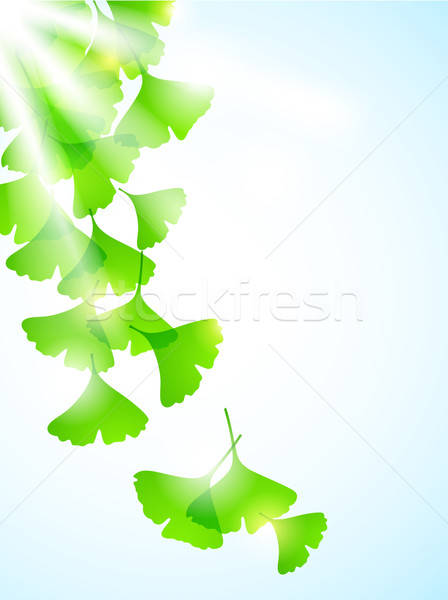 [[stock_photo]]: Floral · laisse · vecteur · feuilles · vertes · ciel · soleil