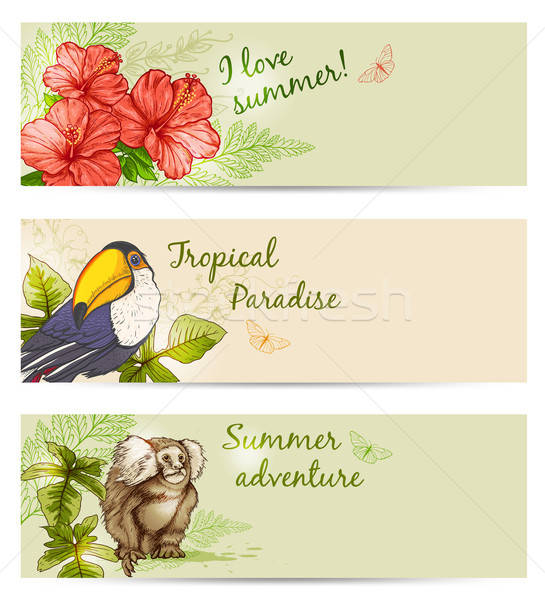 Summer tropical banners Stock photo © Artspace