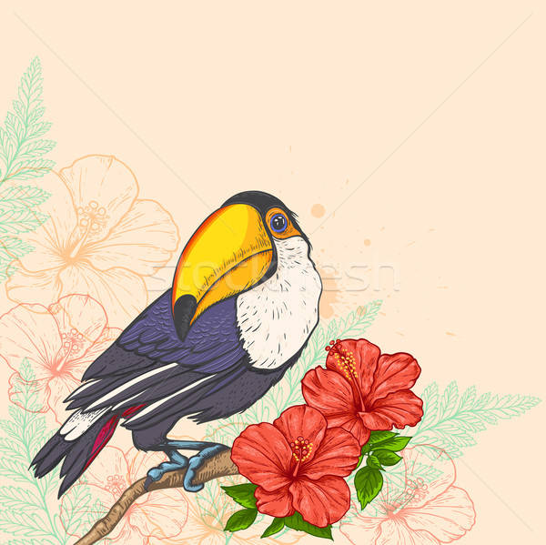 Background with flowers and toucan Stock photo © Artspace