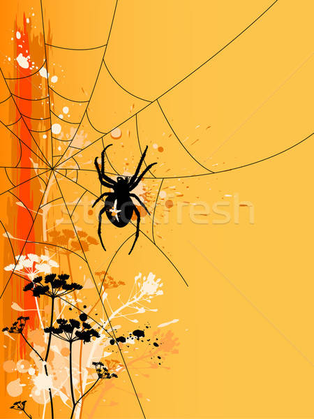 Halloween background with spider Stock photo © Artspace