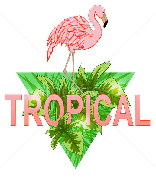 Flamingo tropical frunze roz verde triunghi Imagine de stoc © Artspace