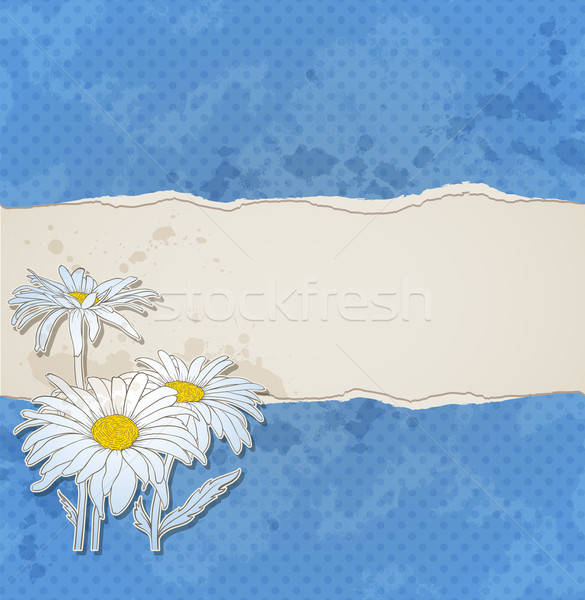  Blue background with chamomiles Stock photo © Artspace