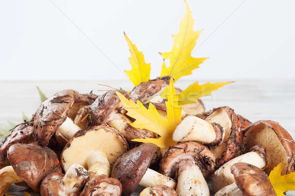 Сток-фото: лес · грибы · листьев · съедобный