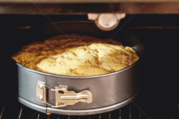 Charlotte, biscuit, pastry, cake in form in the oven Stock photo © artsvitlyna