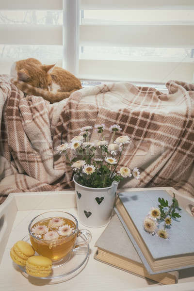 Stock photo: Sweet home with flowers, tea and a cat