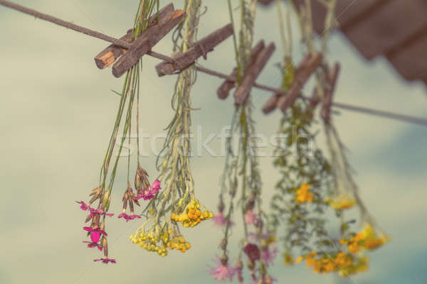 Herbs dried in the shade on a rope Stock photo © artsvitlyna