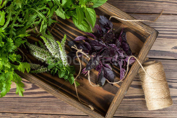 Stock photo: Fresh organic green herbs wooden floor