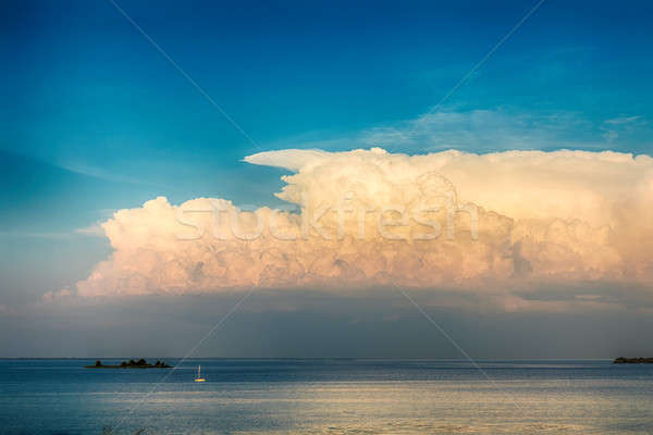 Stunning sunset colors over river in a summer evening Stock photo © artsvitlyna