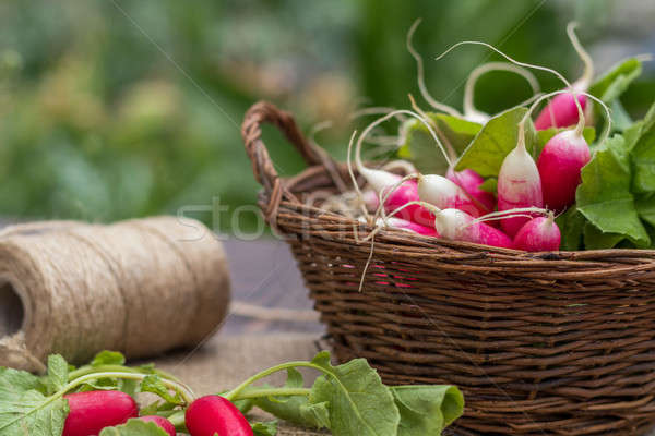 Bunch of radishes in a wicker basket on the table Stock photo © artsvitlyna
