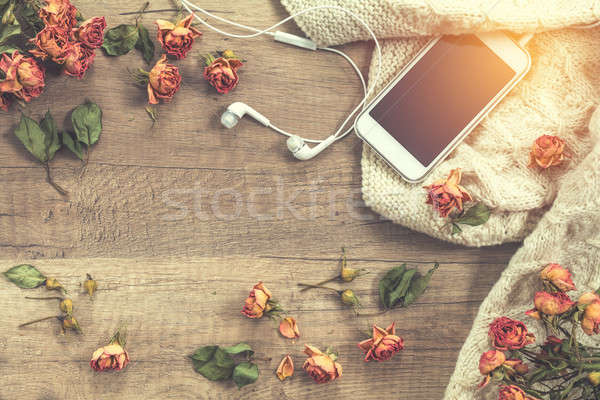 Alb lână uscate trandafiri flori Imagine de stoc © artsvitlyna