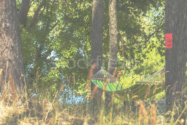 Relaxare lenes timp culoare hamac verde Imagine de stoc © artsvitlyna