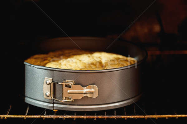 Charlotte, biscuit, pastry, cake in form in the oven Stock photo © artsvitlyna