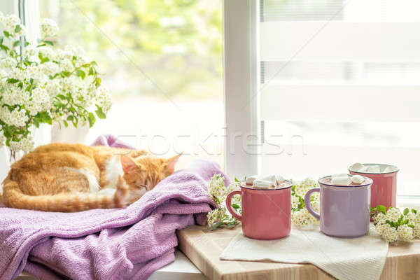 Poesje vensterbank hot gezellig home Stockfoto © artsvitlyna