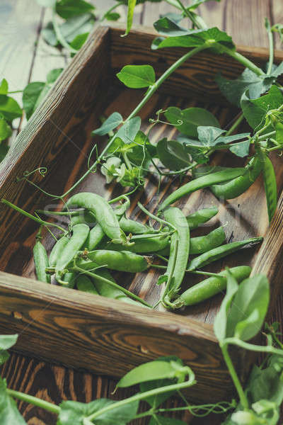 Foto stock: Verde · ervilhas · escuro · superfície · vintage