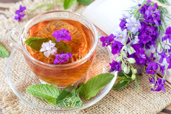 стекла Кубок лет чай травы травяной чай Сток-фото © artsvitlyna