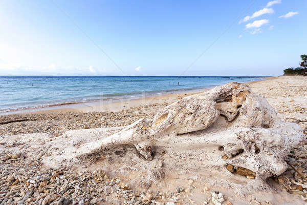 dream beach, Bali Indonesia, Nusa Penida island Stock photo © artush