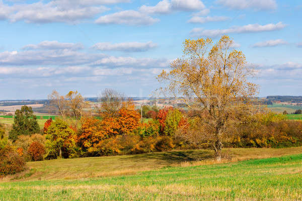 Autumn landscape with fall colored trees Stock photo © artush