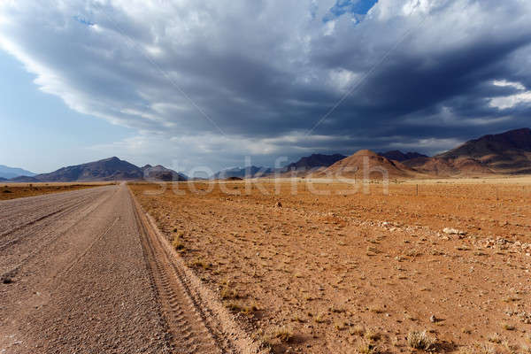 panorama of fantrastic Namibia moonscape landscape Stock photo © artush