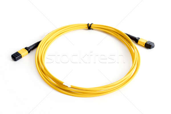 Ribbon fiber optic patchcord with connector MTP Stock photo © artush