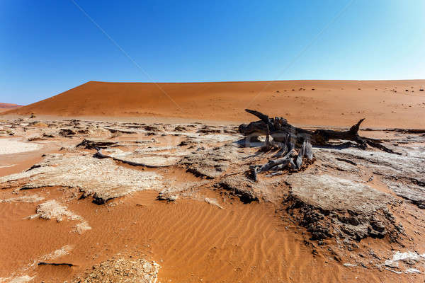 Belle paysage mort vallée sunrise caché [[stock_photo]] © artush