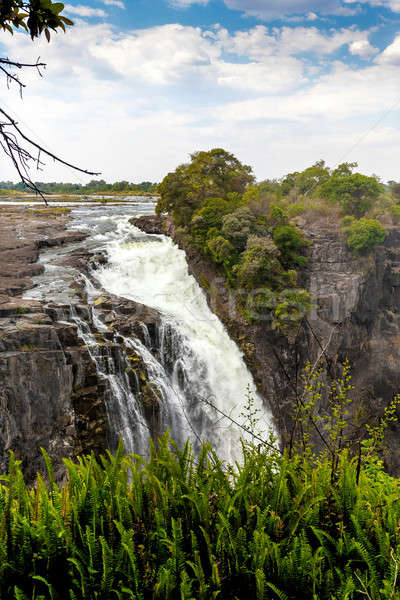 The Victoria falls with mist from water Stock photo © artush