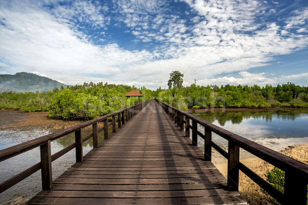 Indonesisch landschap traditioneel hemel water bos Stockfoto © artush