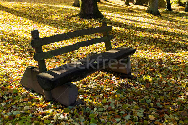 Stok fotoğraf: Ahşap · bank · park · şehir · güneş · manzara