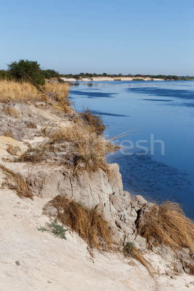 bank of the river zambezi Stock photo © artush