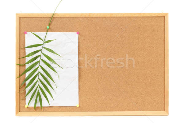 Stockfoto: Papier · palm · bericht · vakantie · behang