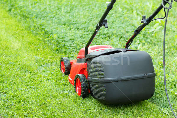 Nieuwe grasmaaier groen gras bewolkt dag voorjaar Stockfoto © artush