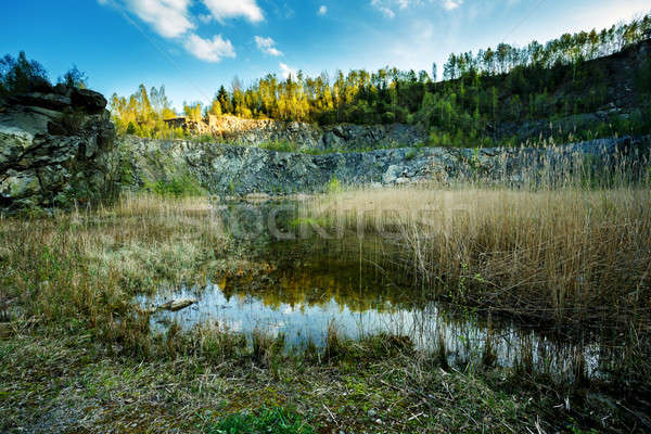 small flooded quarry Stock photo © artush