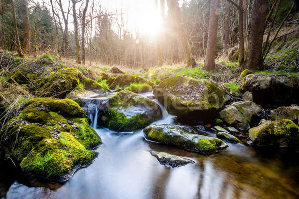 Falls on the small mountain river Stock photo © artush