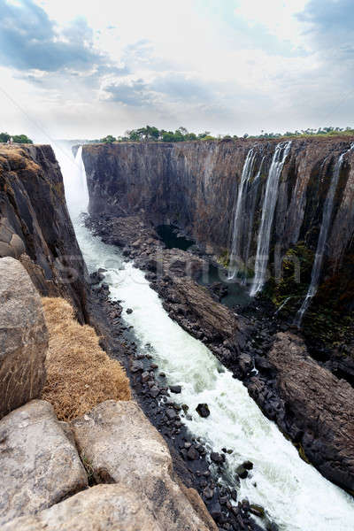 view of Victoria falls canyon  Stock photo © artush