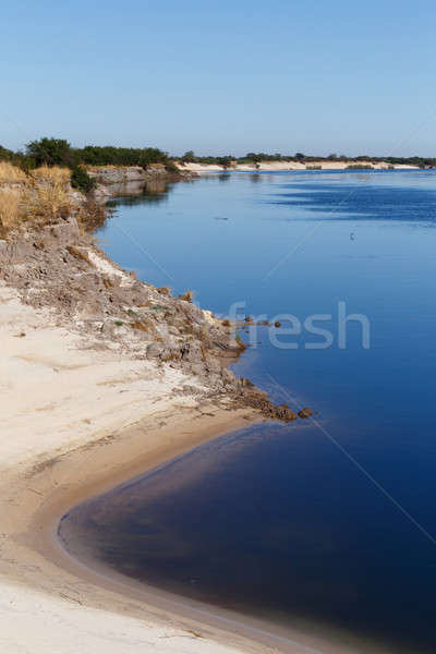 bank of the river zambezi Stock photo © artush