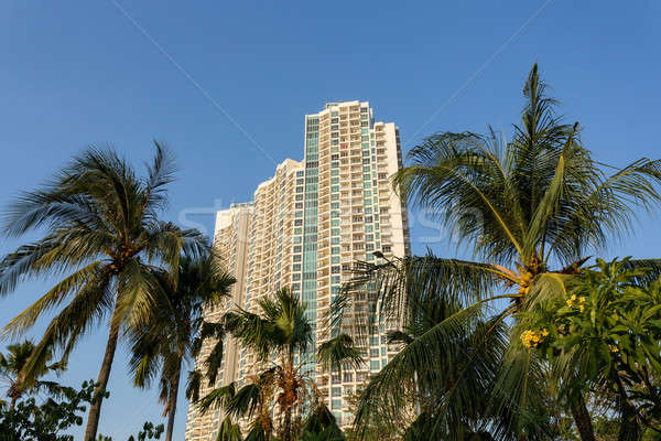 Джакарта зданий морем Palm Сток-фото © artush