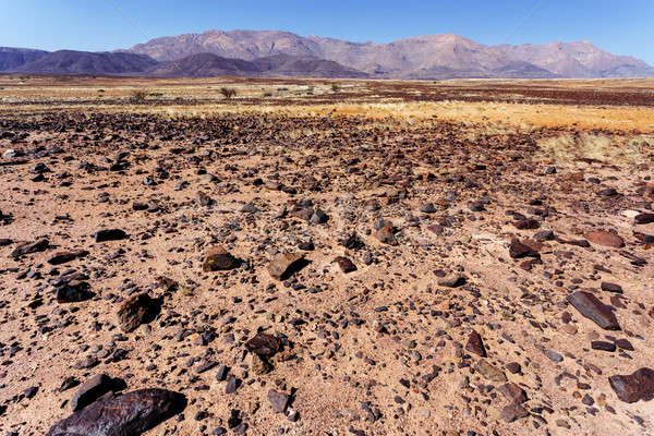 Stock photo: fantrastic Namibia desert landscape