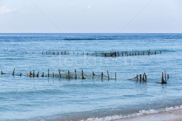 Plantations of seaweed on dream beach, Algae at low tide Stock photo © artush