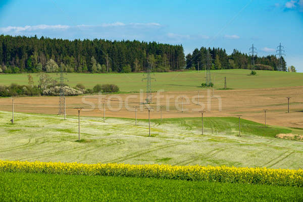 Beautiful summer rural landscape Stock photo © artush