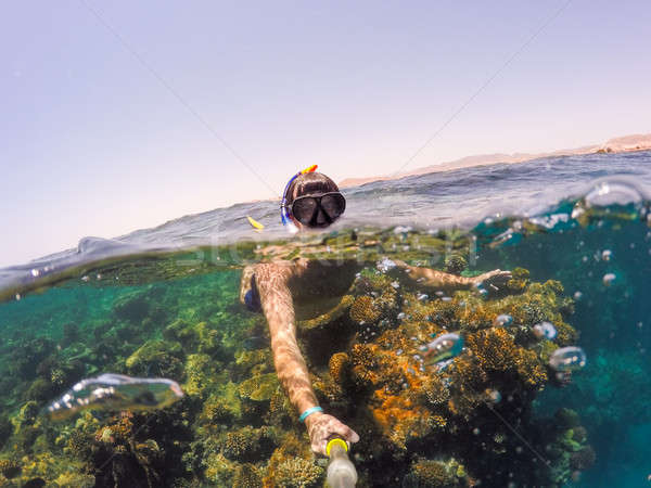 Snorkel swims in shallow water, Red Sea, Egypt Safaga Stock photo © artush