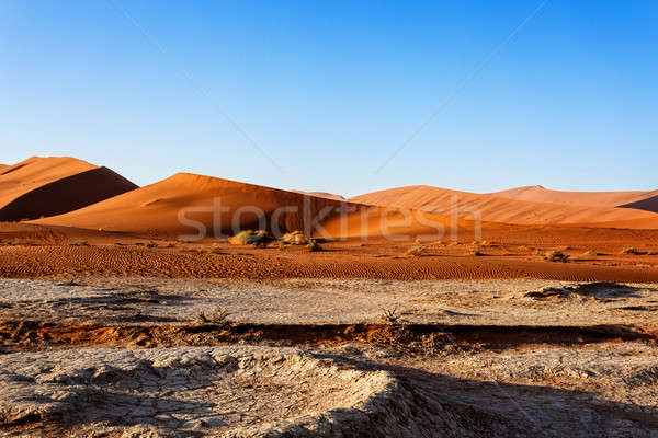 Piękna krajobraz ukryty pustyni Świt martwych Zdjęcia stock © artush