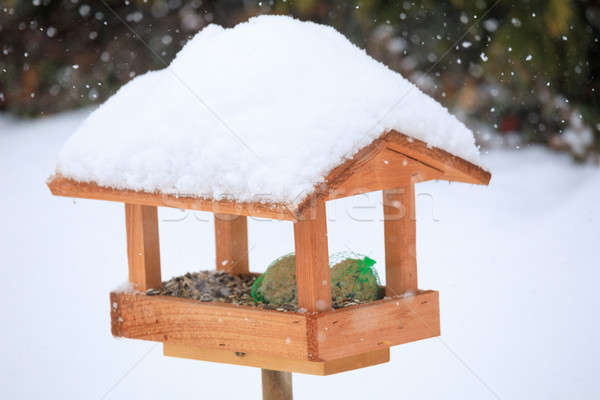 simple bird feeder in winter garden Stock photo © artush