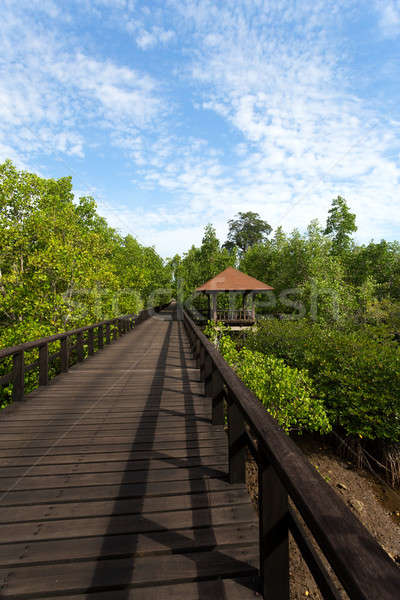 Indonésien paysage traditionnel ciel eau forêt [[stock_photo]] © artush