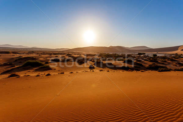 sand dunes at Sossusvlei, Namibia Stock photo © artush