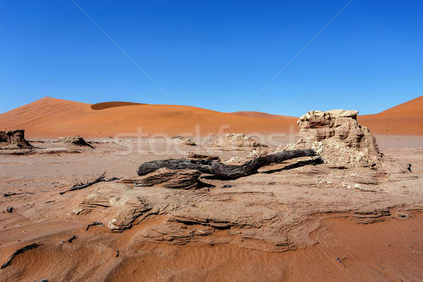 Foto stock: Belo · paisagem · morte · vale · nascer · do · sol · escondido