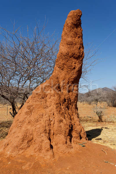 Huge red termite mound in Africa Stock photo © artush