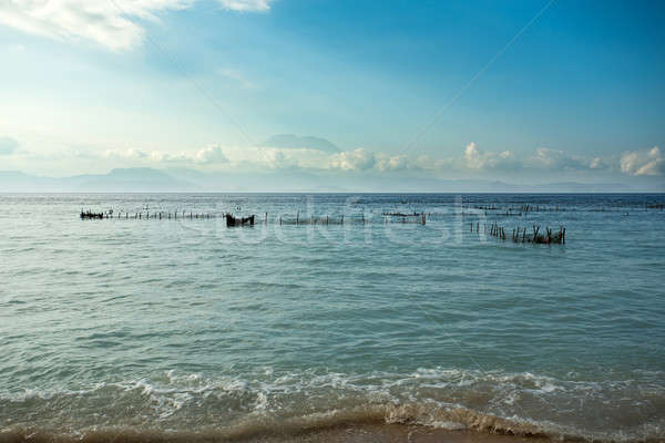 Zeewier strand laag getij bali eiland Stockfoto © artush