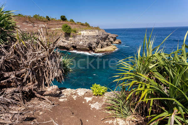 Kustlijn eiland droom bali punt beroemd Stockfoto © artush